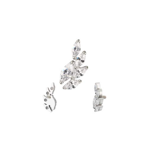 עגיל לברט – זיו